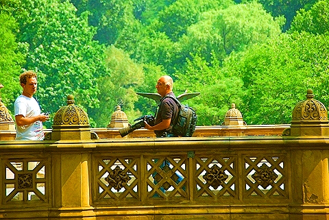 NY-People_in_Central_Park_on_a_Saturday_Morning-Summer-2008-44.JPG