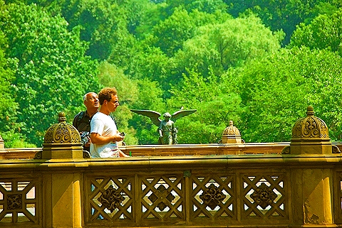 NY-People_in_Central_Park_on_a_Saturday_Morning-Summer-2008-45.JPG