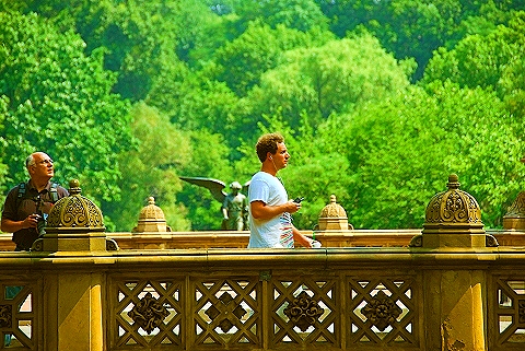 NY-People_in_Central_Park_on_a_Saturday_Morning-Summer-2008-46.JPG