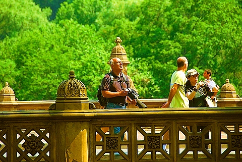 NY-People_in_Central_Park_on_a_Saturday_Morning-Summer-2008-47.JPG