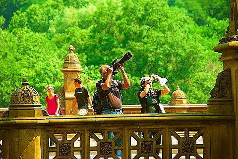 NY-People_in_Central_Park_on_a_Saturday_Morning-Summer-2008-48.JPG