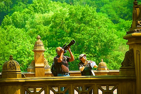 NY-People_in_Central_Park_on_a_Saturday_Morning-Summer-2008-50.JPG