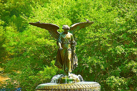 NY-People_in_Central_Park_on_a_Saturday_Morning-Summer-2008-58.JPG