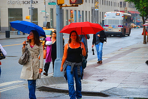 NY-People_in_Madison_Square_Park-04.JPG