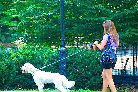 NY-People_in_Riverside_Park-Summer-2008-07.JPG