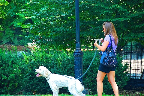 NY-People_in_Riverside_Park-Summer-2008-08.JPG