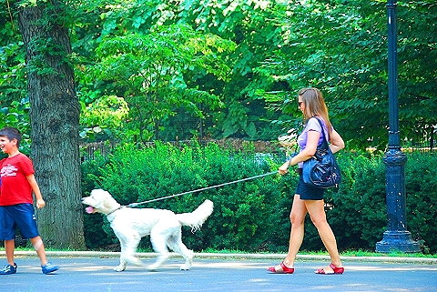 NY-People_in_Riverside_Park-Summer-2008-09.JPG