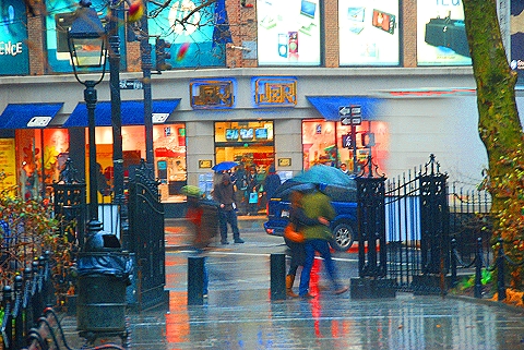 NY-People_in_The_Rain-City_Hall_Park-1.JPG
