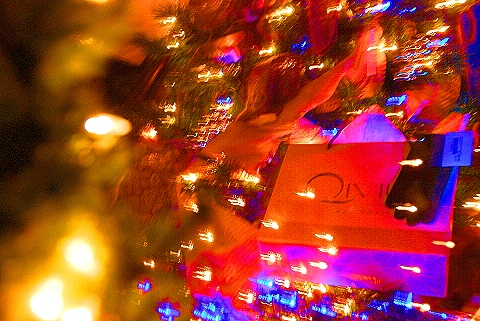NY-Plaza_Hotel_at_Christmas_Time-08.JPG