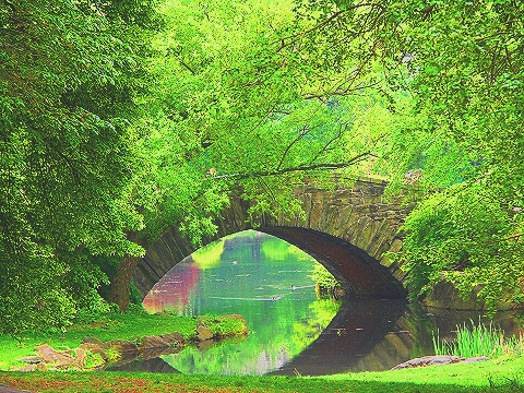 NY-Plaza_Hotel-Duck_Pond-Central_Park_View-01.JPG