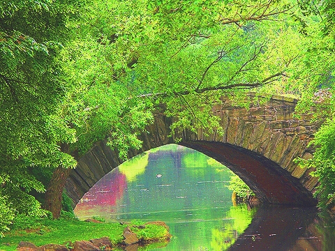 NY-Plaza_Hotel-Duck_Pond-Central_Park_View-02.JPG