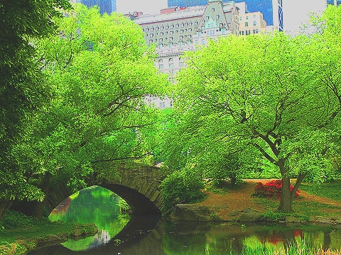 NY-Plaza_Hotel-Duck_Pond-Central_Park_View-03.JPG