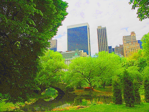 NY-Plaza_Hotel-Duck_Pond-Central_Park_View-04.JPG