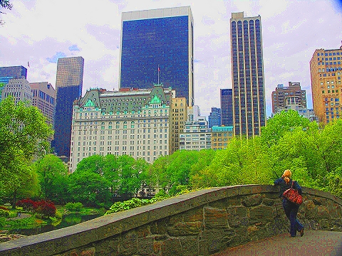NY-Plaza_Hotel-Duck_Pond-Central_Park_View-05.JPG