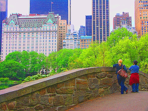 NY-Plaza_Hotel-Duck_Pond-Central_Park_View-06.JPG
