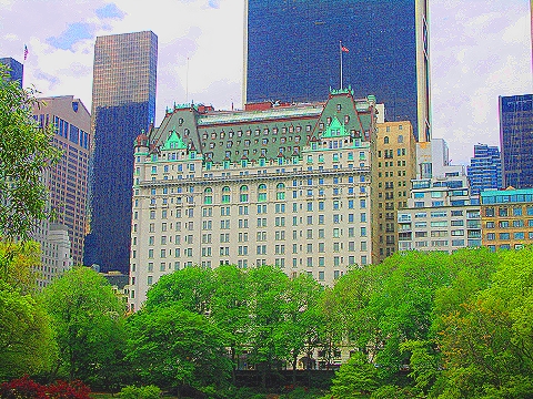 NY-Plaza_Hotel-Duck_Pond-Central_Park_View-07.JPG