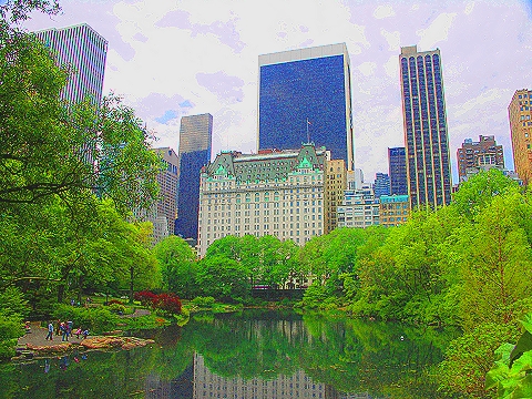 NY-Plaza_Hotel-Duck_Pond-Central_Park_View-08.JPG
