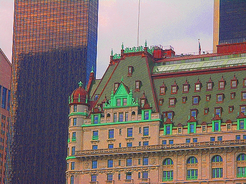 NY-Plaza_Hotel-Duck_Pond-Central_Park_View-11.JPG