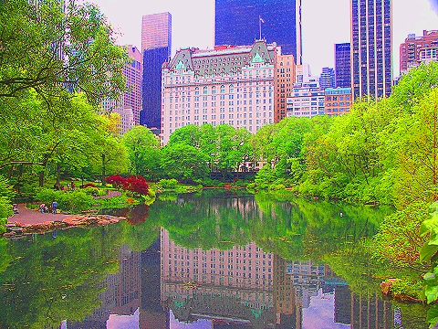 NY-Plaza_Hotel-Duck_Pond-Central_Park_View-12.JPG