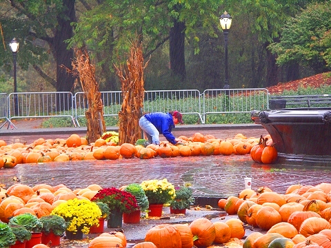 NY-Pumpkin_Festival-2007-Central_Park-03.JPG