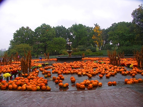 NY-Pumpkin_Festival-2007-Central_Park-04.JPG