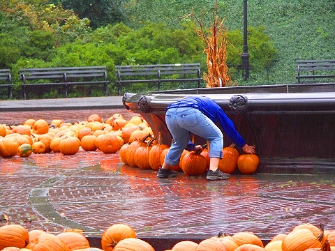 NY-Pumpkin_Festival-2007-Central_Park-09.JPG