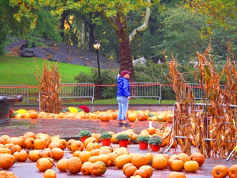 NY-Pumpkin_Festival-2007-Central_Park-10.JPG
