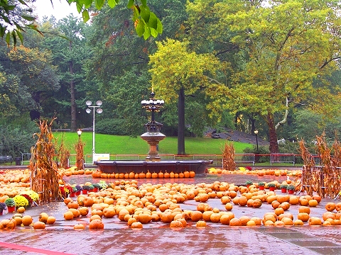 NY-Pumpkin_Festival-2007-Central_Park-11.JPG