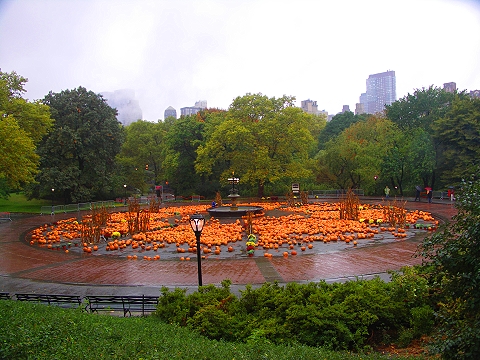 NY-Pumpkin_Festival-2007-Central_Park-12.JPG