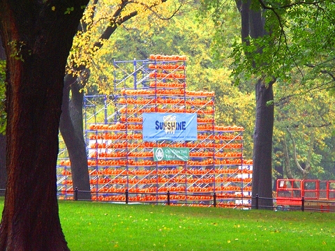 NY-Pumpkin_Festival-2007-Central_Park-15.JPG