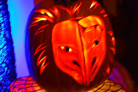 NY-Pumpkins-Kico_Kids-Chelsea_Market-05.JPG