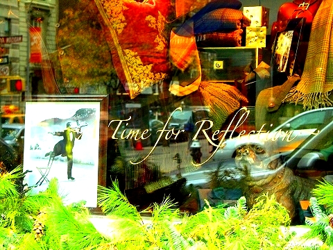 NY-Ralph_Lauren-Upper_Eastside_Madison_Avenue-Christmas_Windows-07.jpg