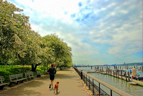 NY-Riverside_Park-11-Joggers-Cyclists_Strollers.JPG