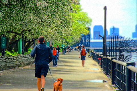NY-Riverside_Park-12-Joggers-Cyclists_Strollers.JPG