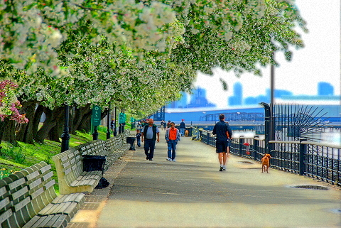 NY-Riverside_Park-13-Joggers-Cyclists_Strollers.JPG