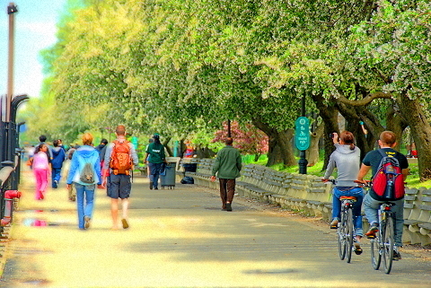 NY-Riverside_Park-16-Joggers-Cyclists_Strollers.JPG
