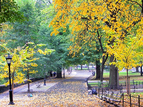 NY-Riverside_Park-Fall_Colors-Autumn-02.JPG