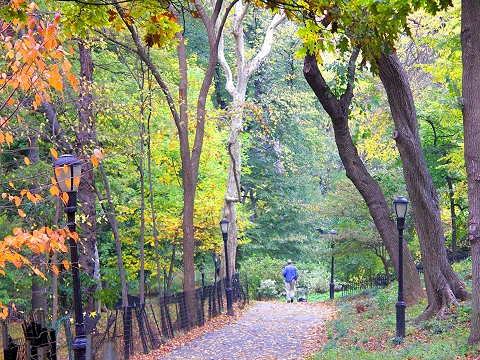 NY-Riverside_Park-Fall_Colors-Autumn-03.JPG