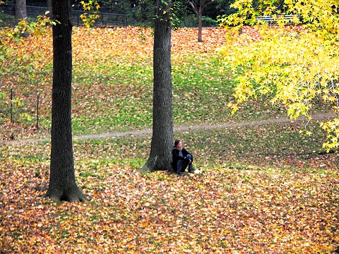 NY-Riverside_Park-Fall_Colors-Autumn-04.JPG