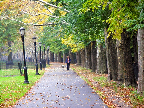 NY-Riverside_Park-Fall_Colors-Autumn-05.JPG