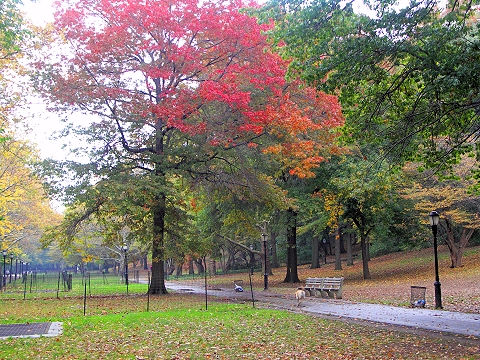 NY-Riverside_Park-Fall_Colors-Autumn-06.JPG
