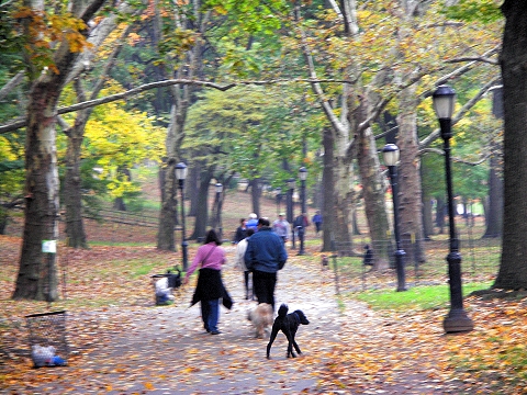 NY-Riverside_Park-Fall_Colors-Autumn-07.JPG