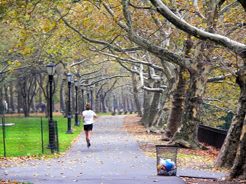 NY-Riverside_Park-Fall_Colors-Autumn-08.JPG