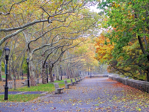 NY-Riverside_Park-Fall_Colors-Autumn-10.JPG
