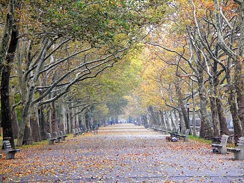 NY-Riverside_Park-Fall_Colors-Autumn-11.JPG