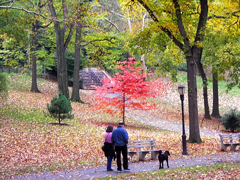 NY-Riverside_Park-Fall_Colors-Autumn-12.JPG