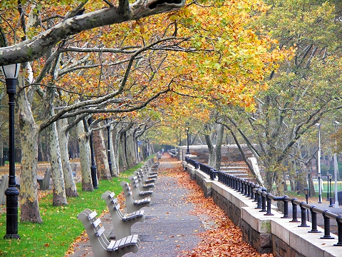 NY-Riverside_Park-Fall_Colors-Autumn-13.JPG