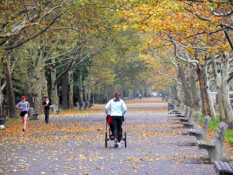NY-Riverside_Park-Fall_Colors-Autumn-14.JPG