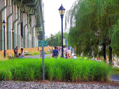 NY-Riverside_Park_South-Acoustic_Sundays-20.JPG