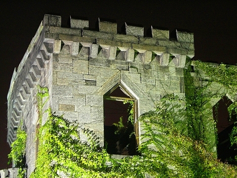 NY-Roosevelt_Island-Renwick_Ruins-Island_Hospital-11.JPG